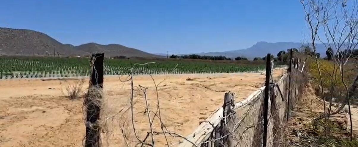 MLS #25-2857 image #2