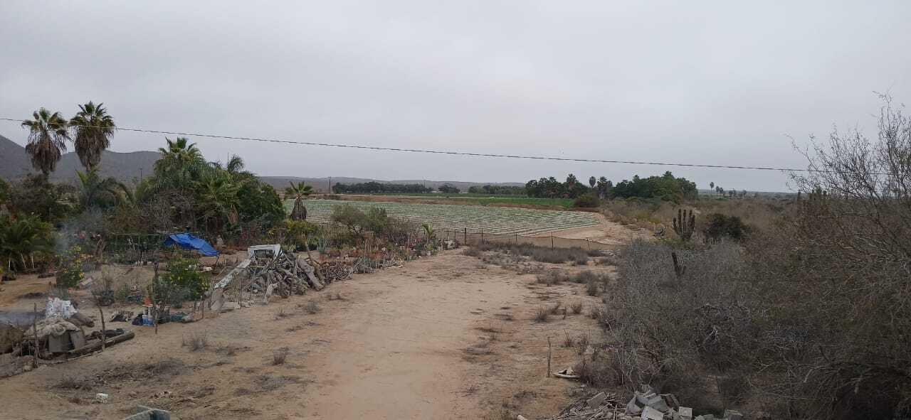 MLS #25-2857 image #3