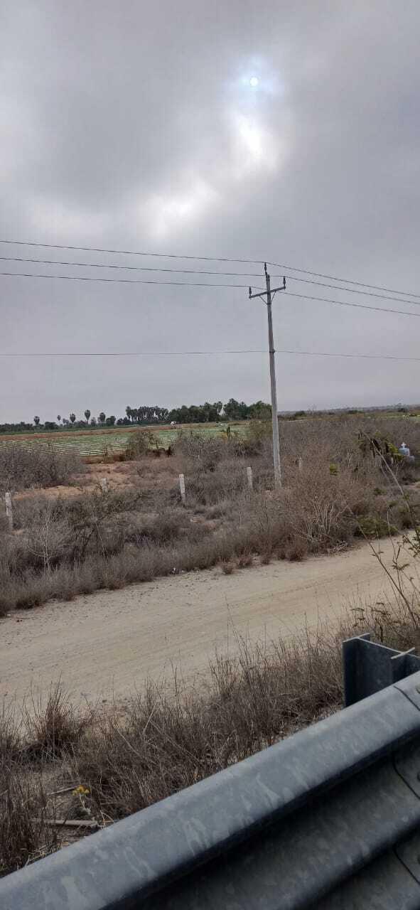 MLS #25-2857 image #4