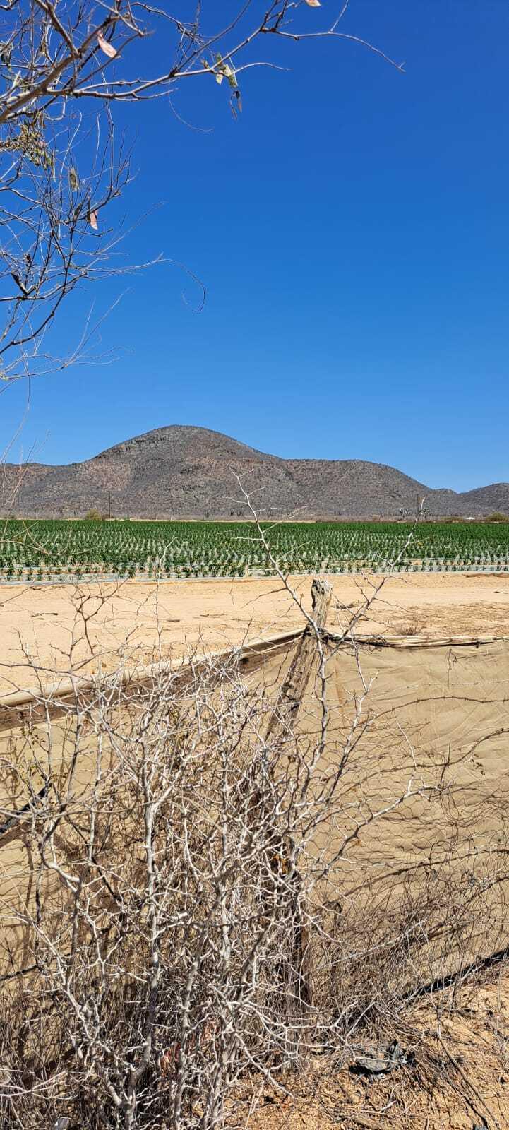 MLS #25-2857 image #5