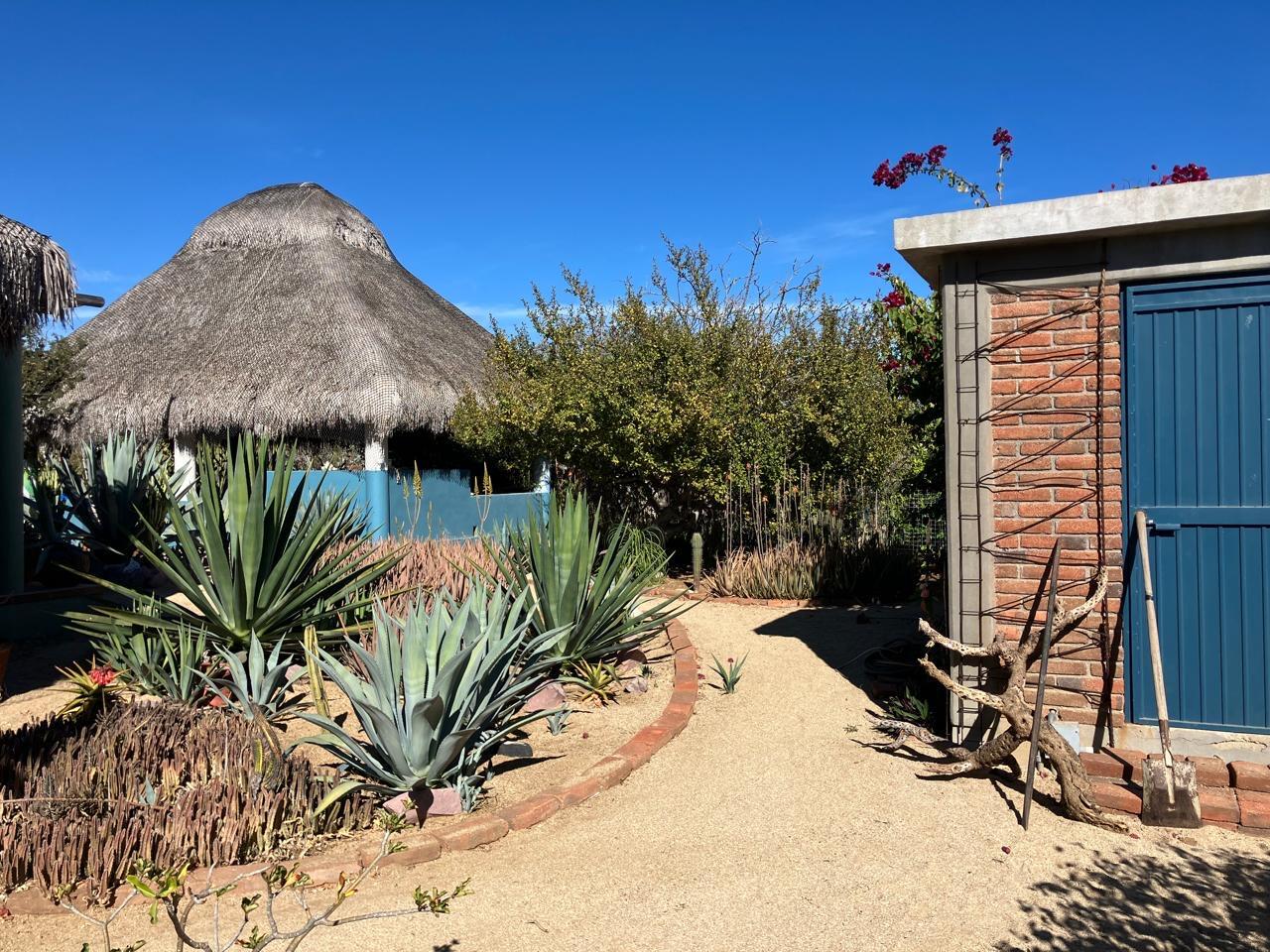 MLS #25-288 image #15