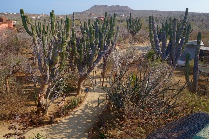 MLS #25-288 image #19