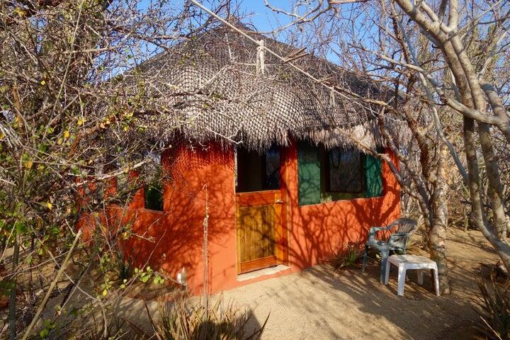 MLS #25-288 image #20