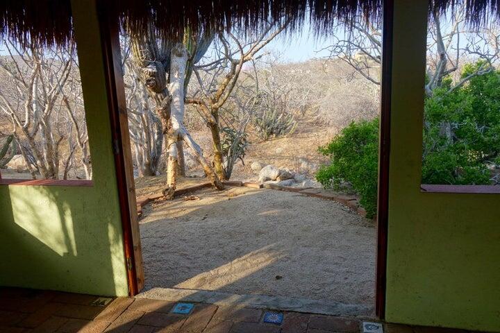 MLS #25-288 image #22