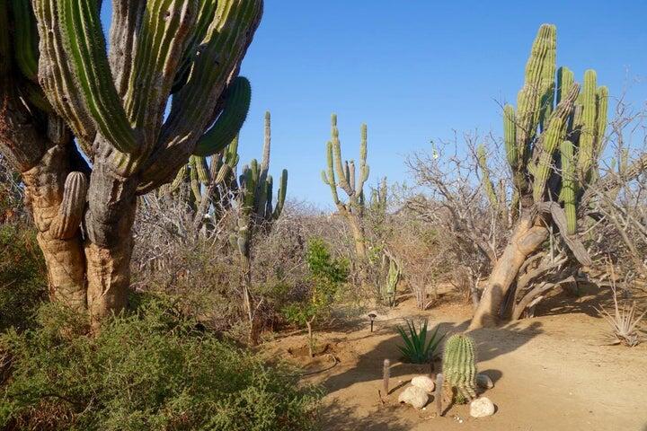 MLS #25-288 image #23