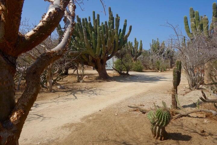 MLS #25-288 image #9