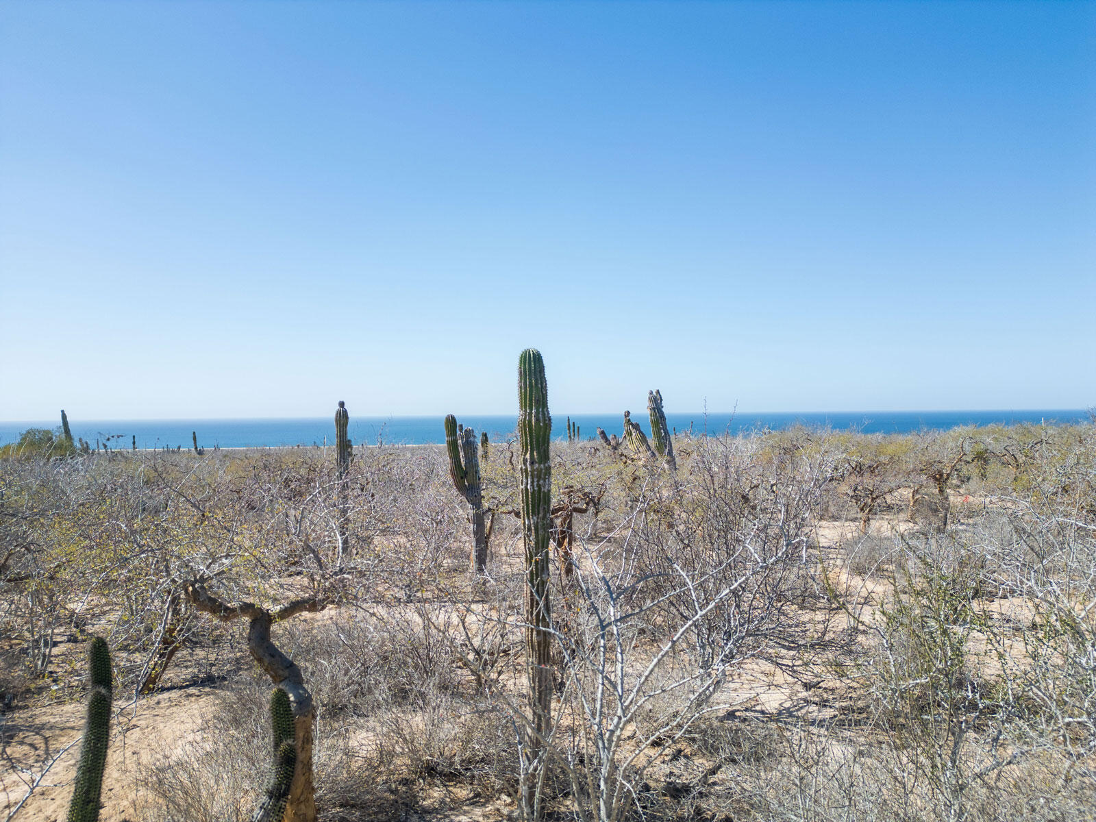 MLS #25-296 img 5