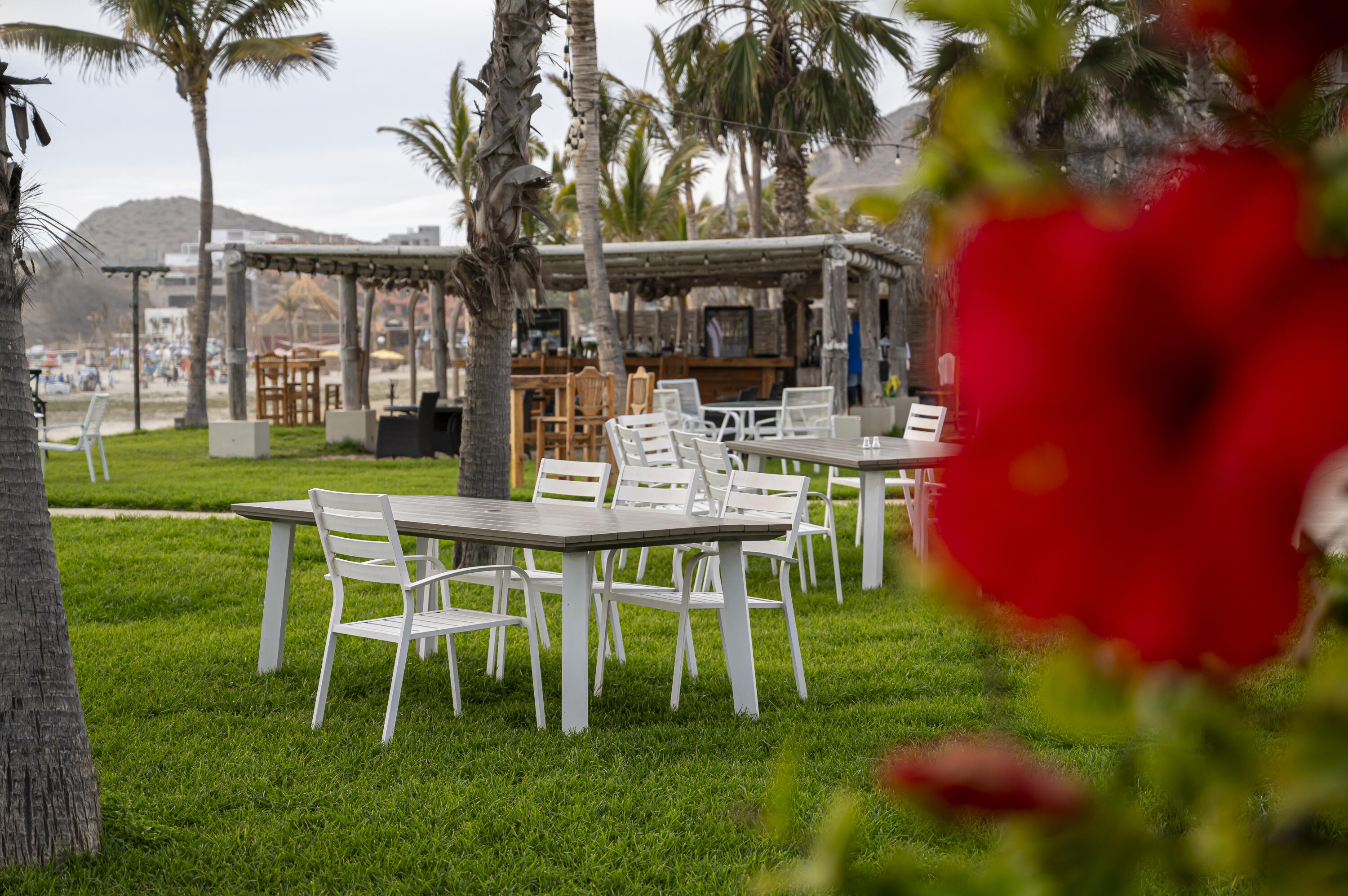 MLS #25-2965 image #19