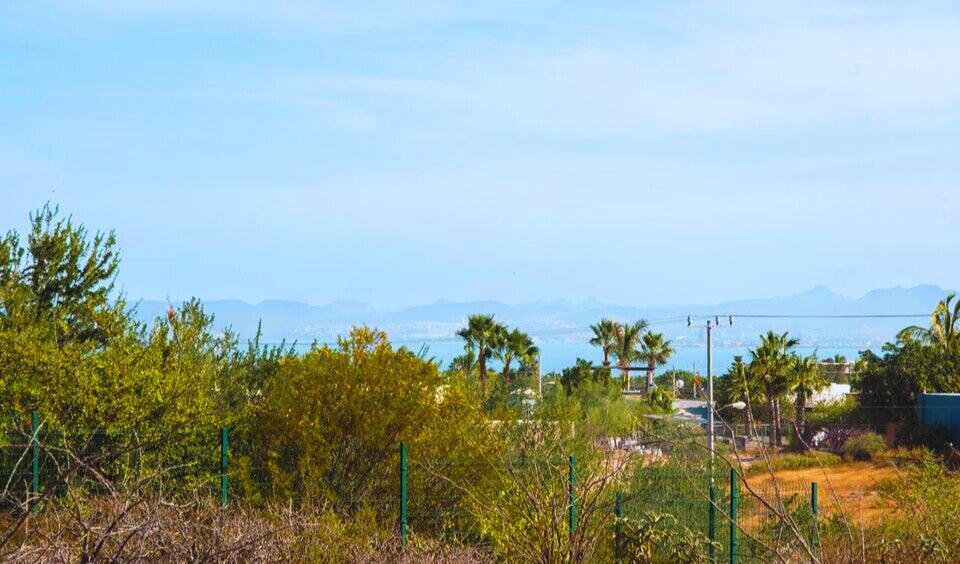 Calle 14 Sunset Lot La Paz BCS MLS #25-2974 42 MLS #25-2974 image #1
