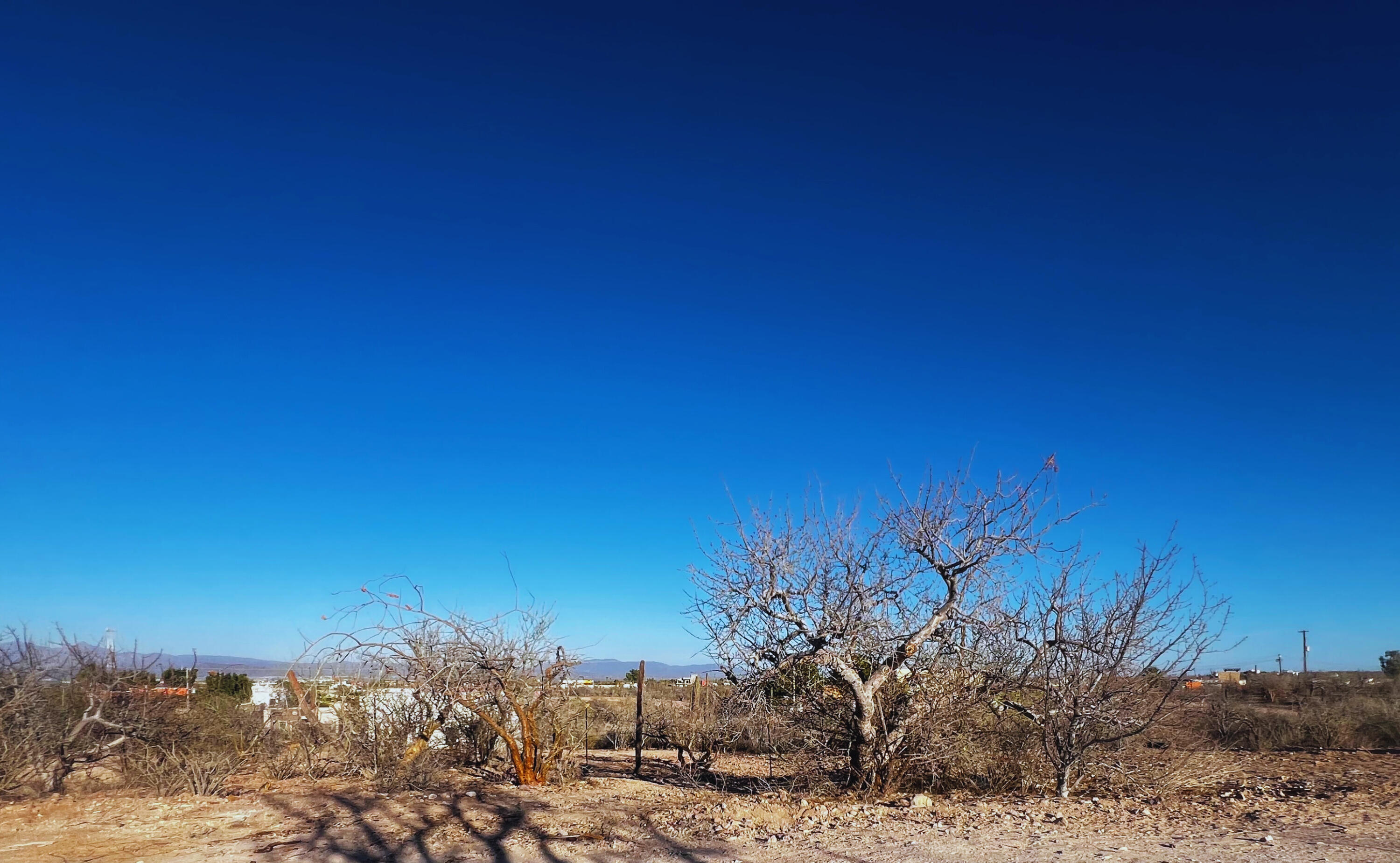 Calle 14 Sunset Lot La Paz BCS MLS #25-2974 43 MLS #25-2974 image #2