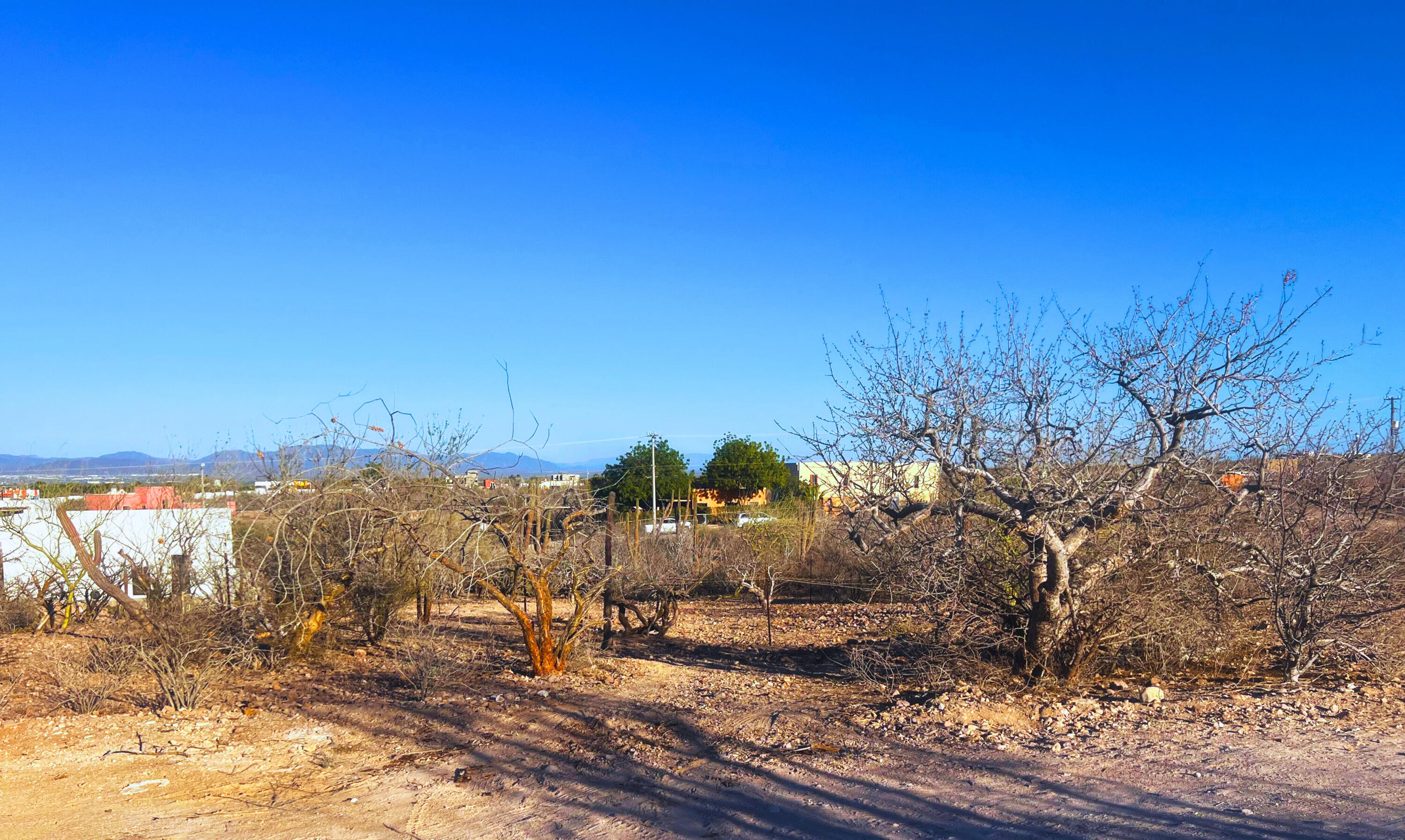 Calle 14 Sunset Lot La Paz BCS MLS #25-2974 44 MLS #25-2974 image #3
