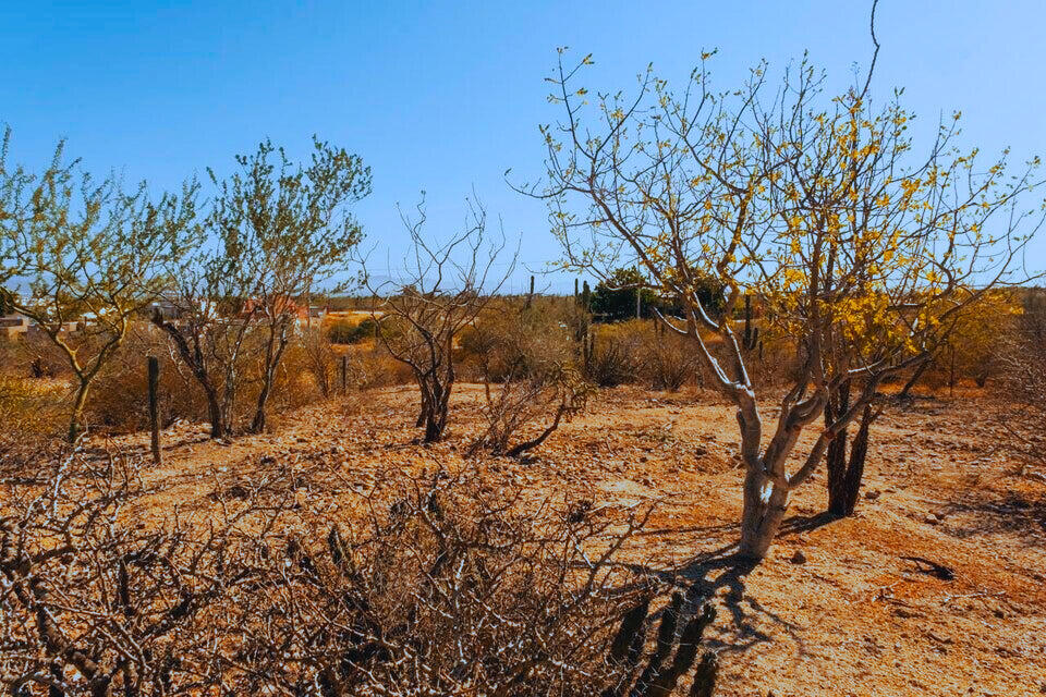 Calle 14 Sunset Lot La Paz BCS MLS #25-2974 45 MLS #25-2974 image #4