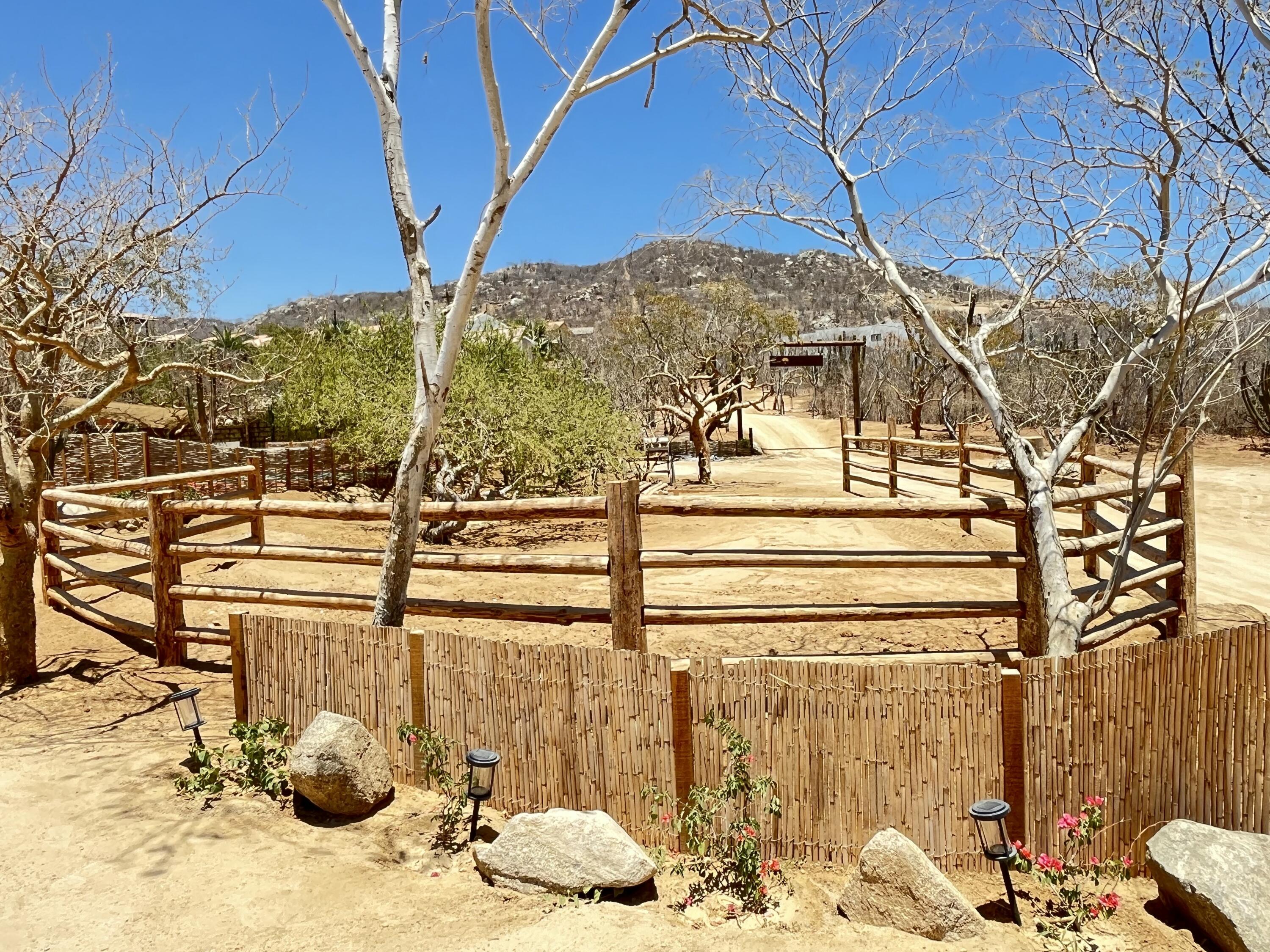 MLS #25-2989 image #10