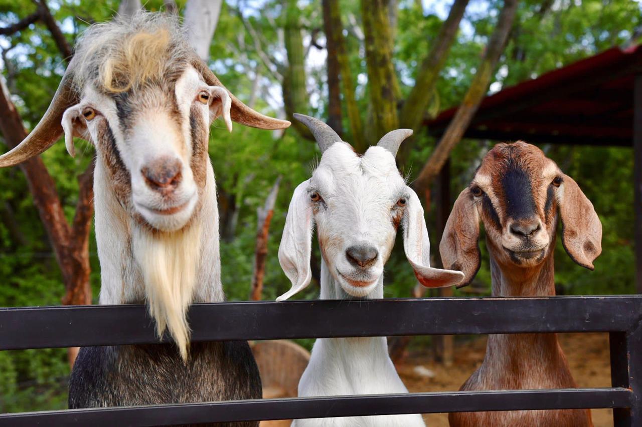 MLS #25-2989 image #15