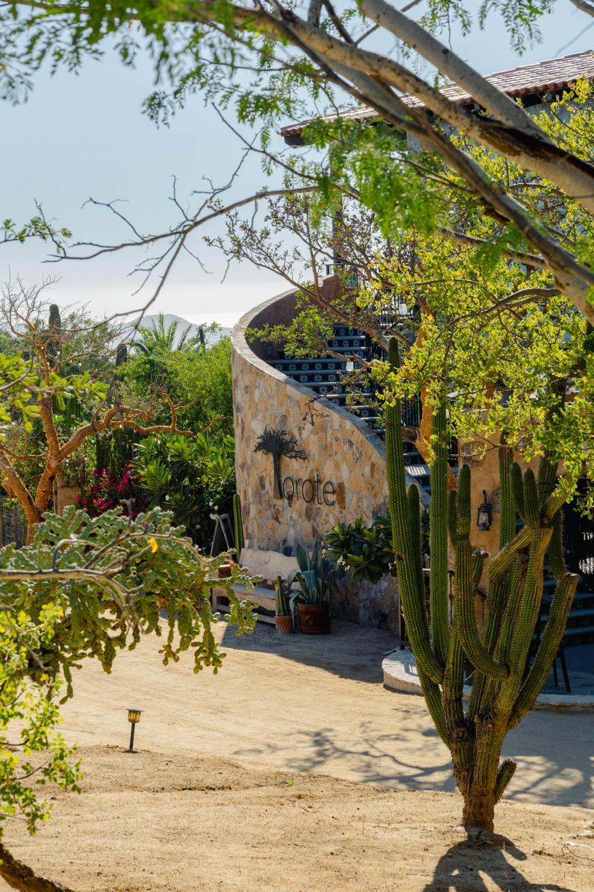 MLS #25-2989 image #17