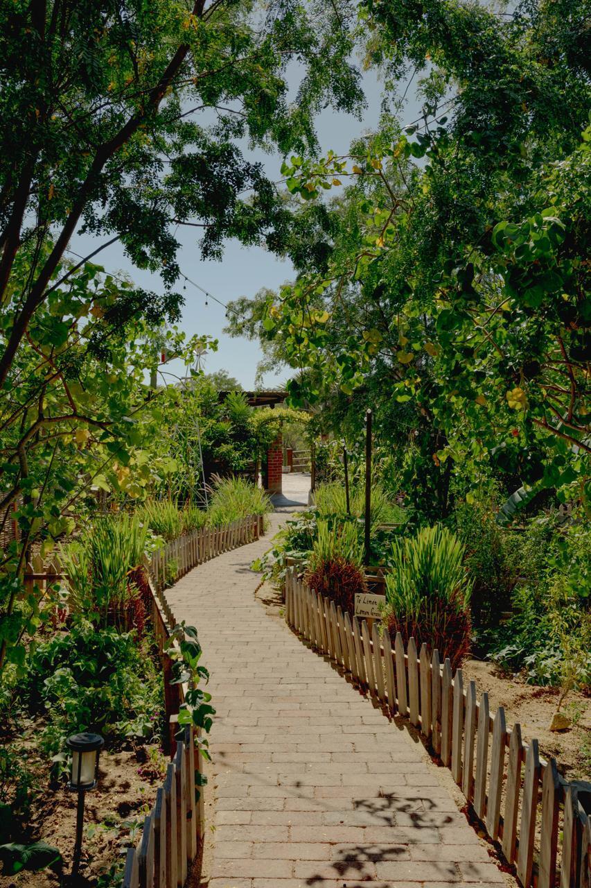 MLS #25-2989 image #19