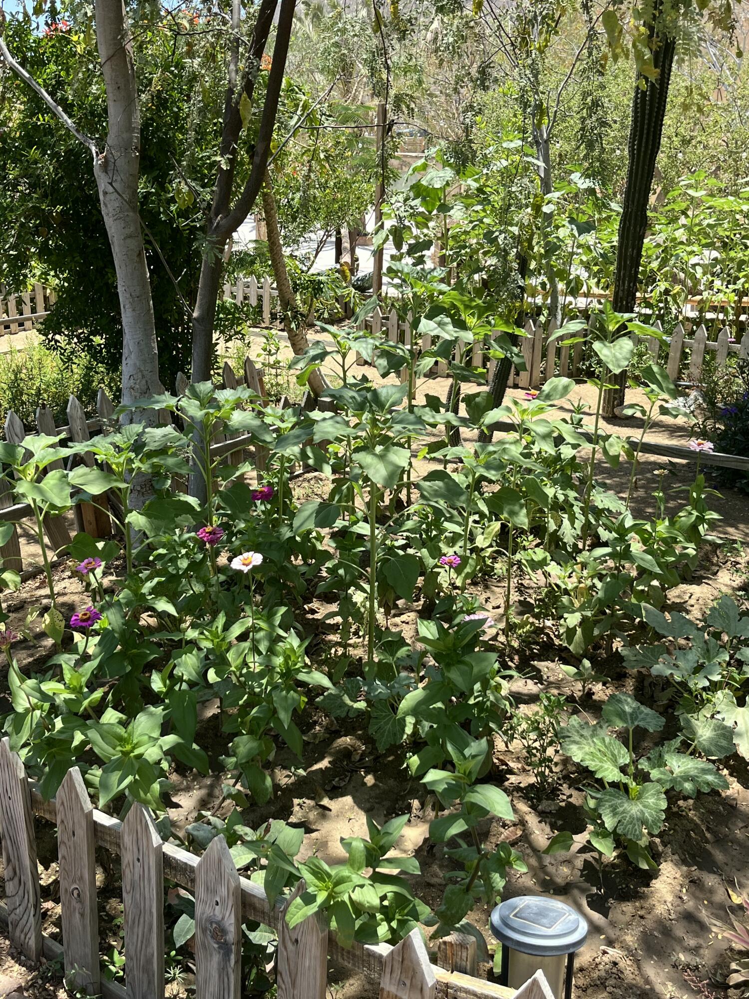 MLS #25-2989 image #8