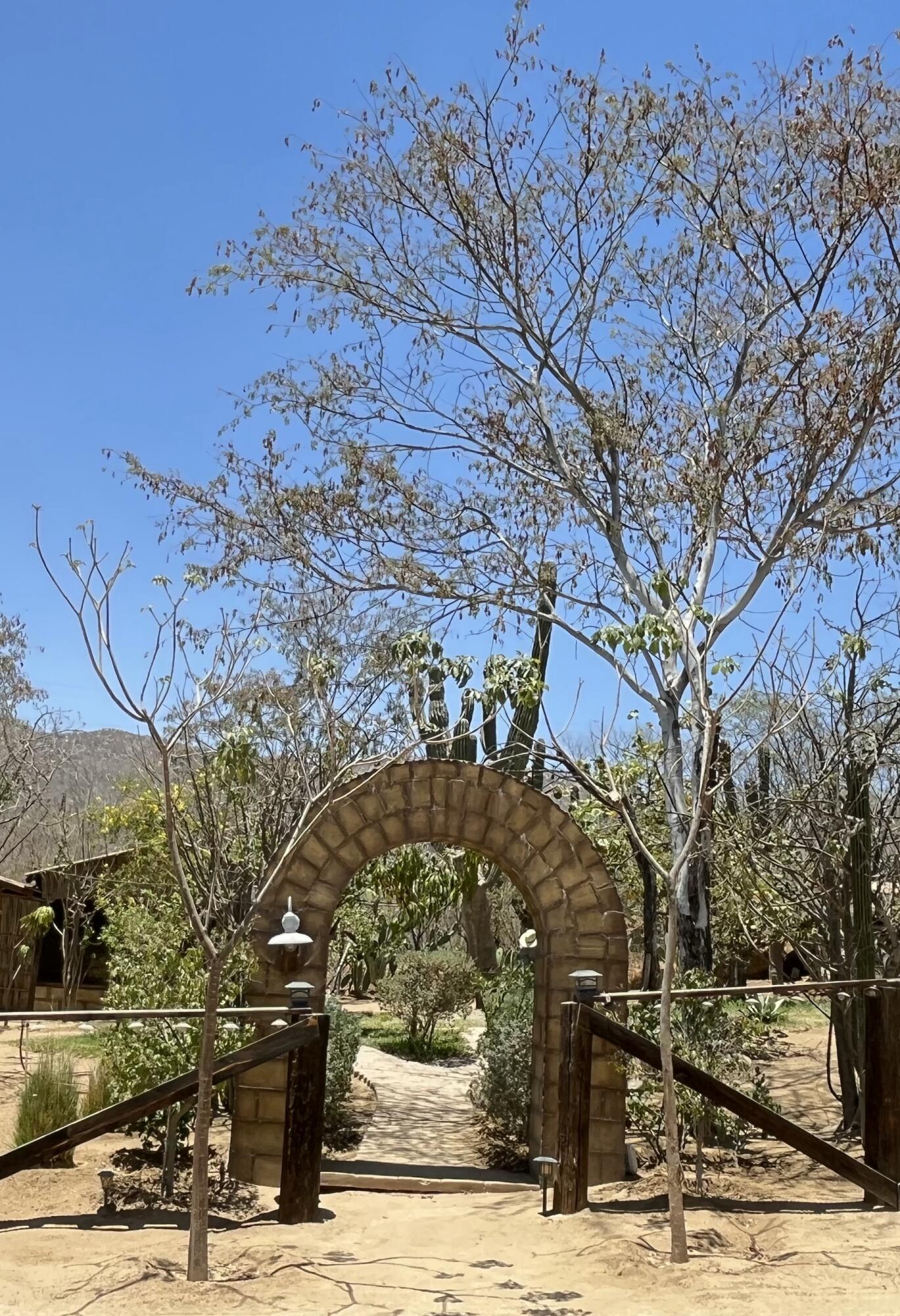 MLS #25-2989 image #9