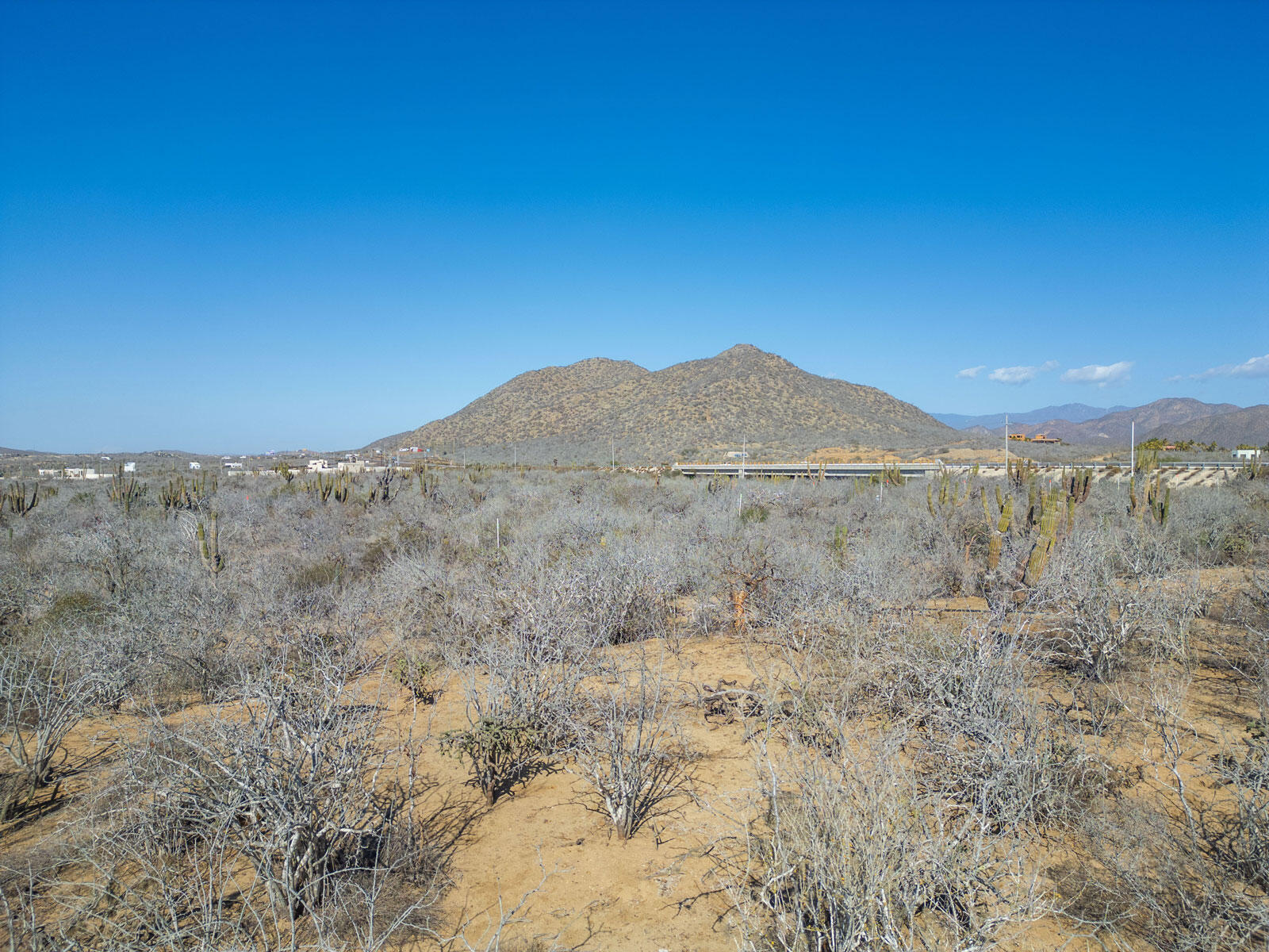 MLS #25-301 image #8