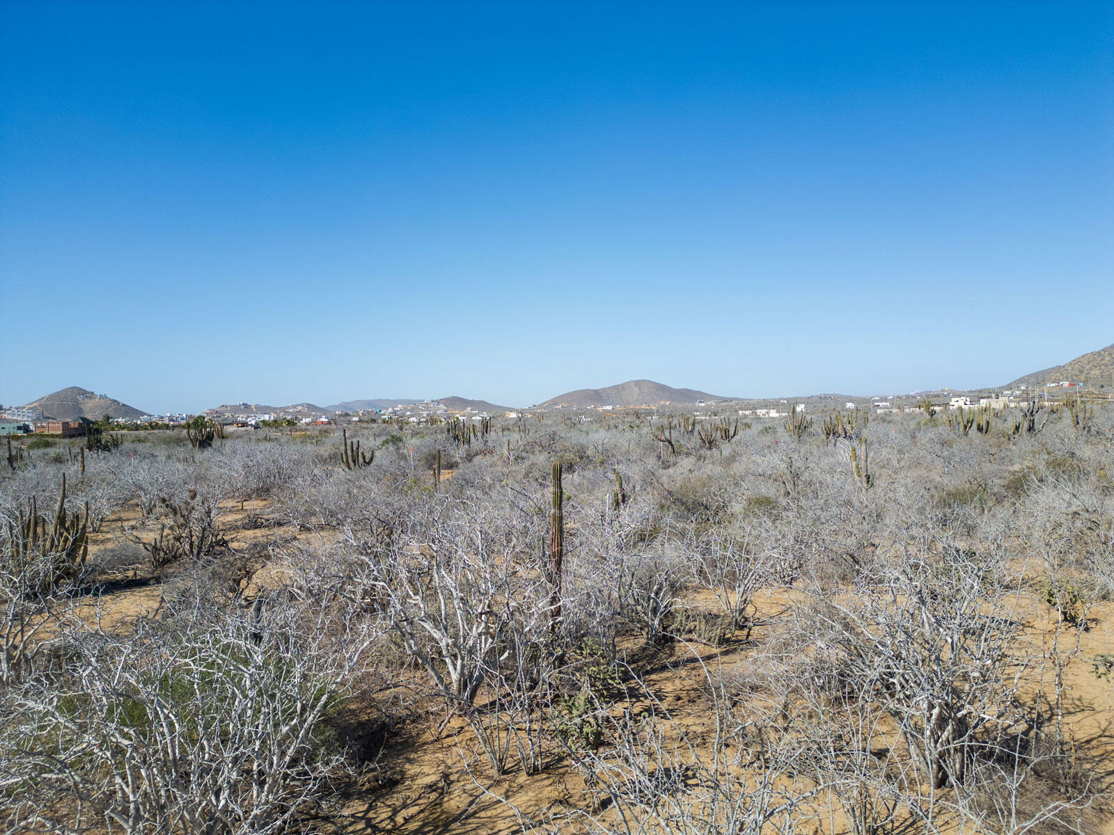 MLS #25-301 image #9