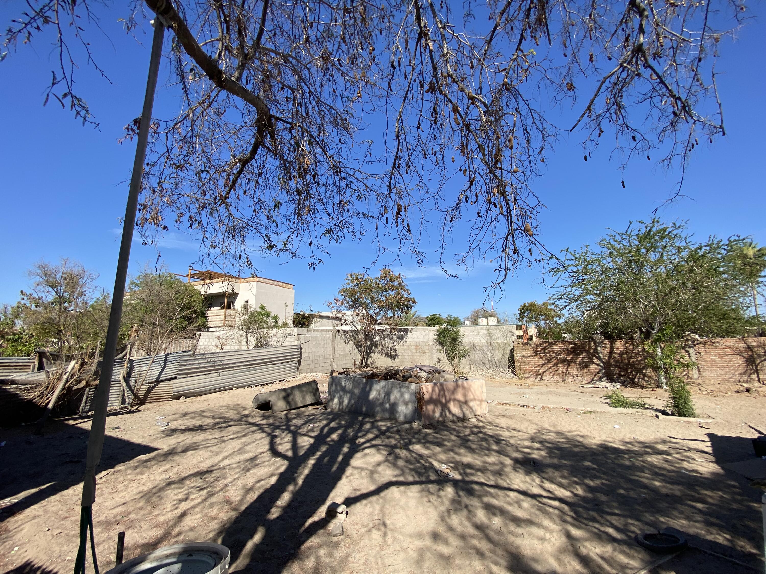 MLS #25-3010 image #2