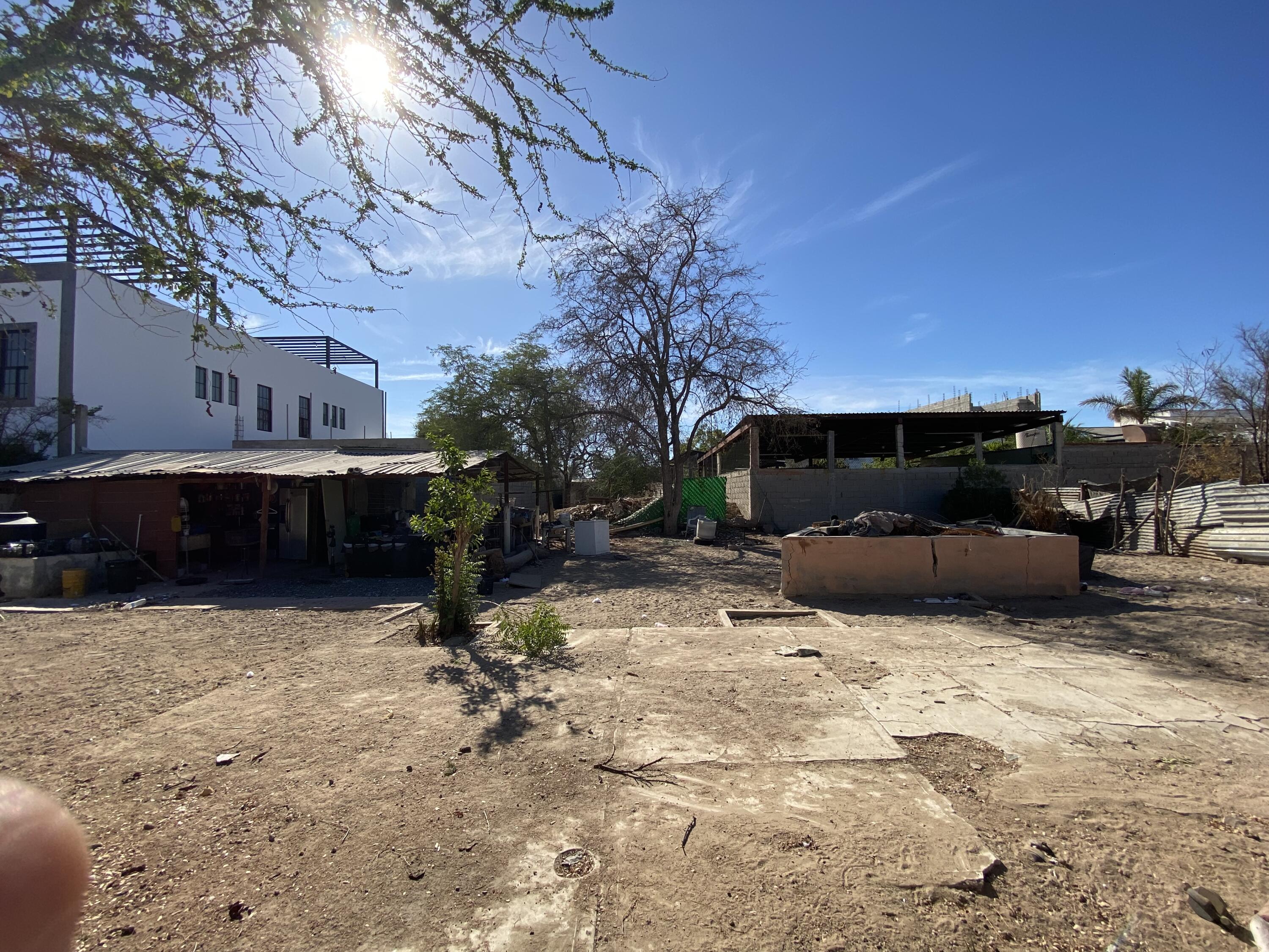 MLS #25-3010 image #4