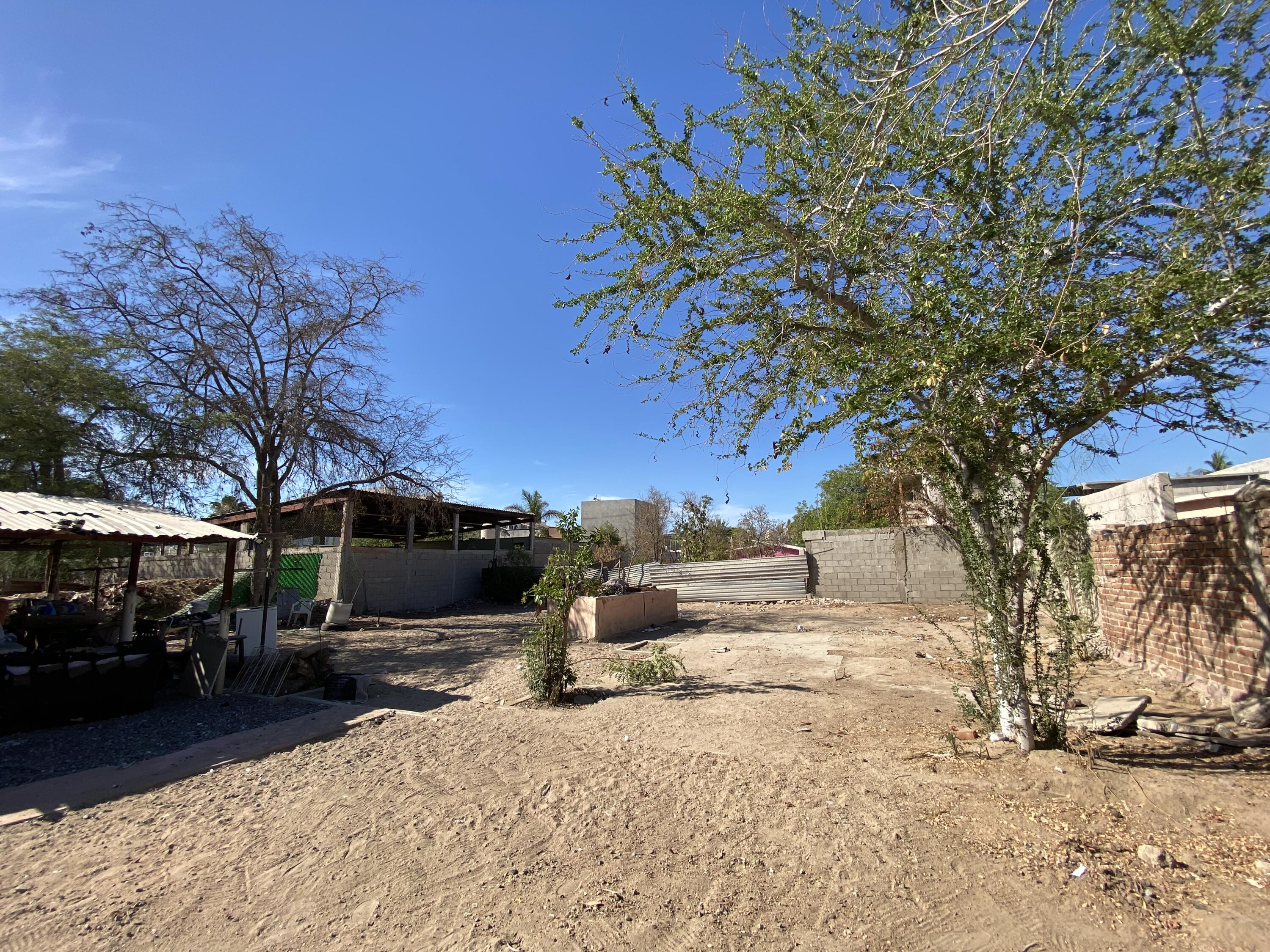 MLS #25-3010 image #5