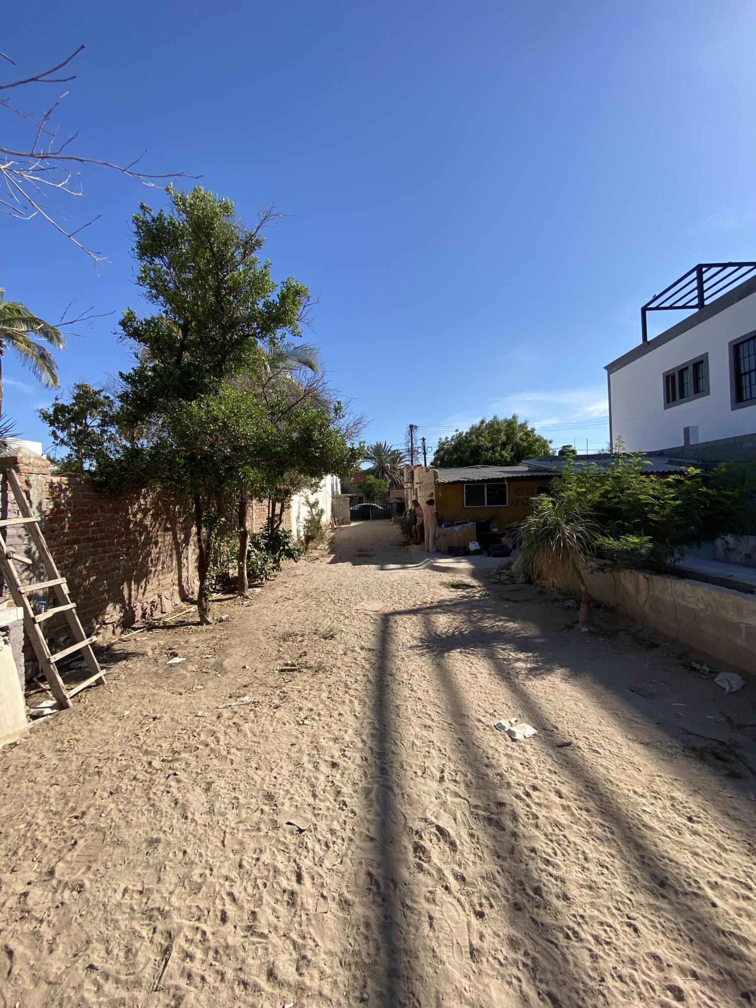 MLS #25-3010 image #6