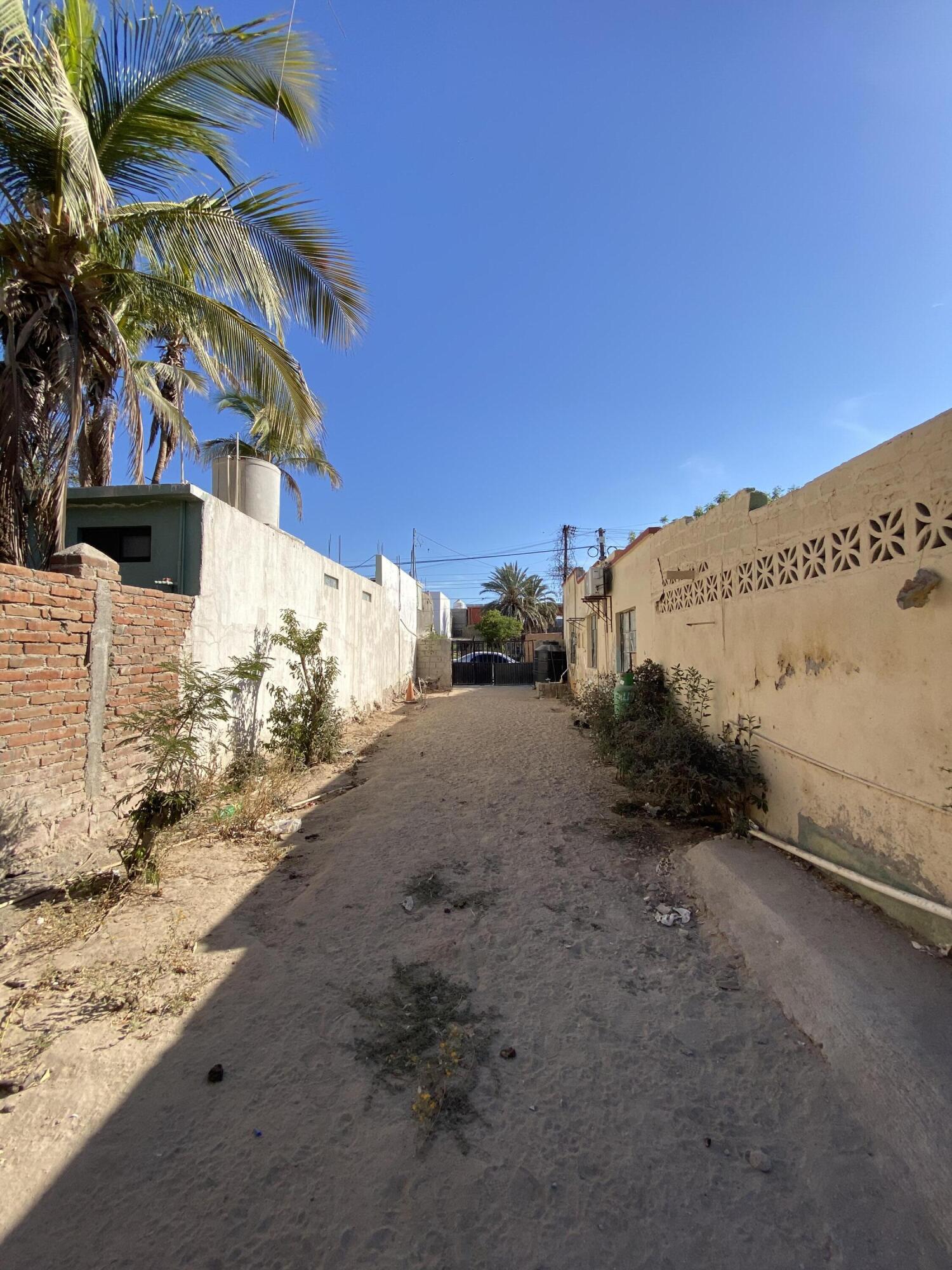 MLS #25-3010 image #7