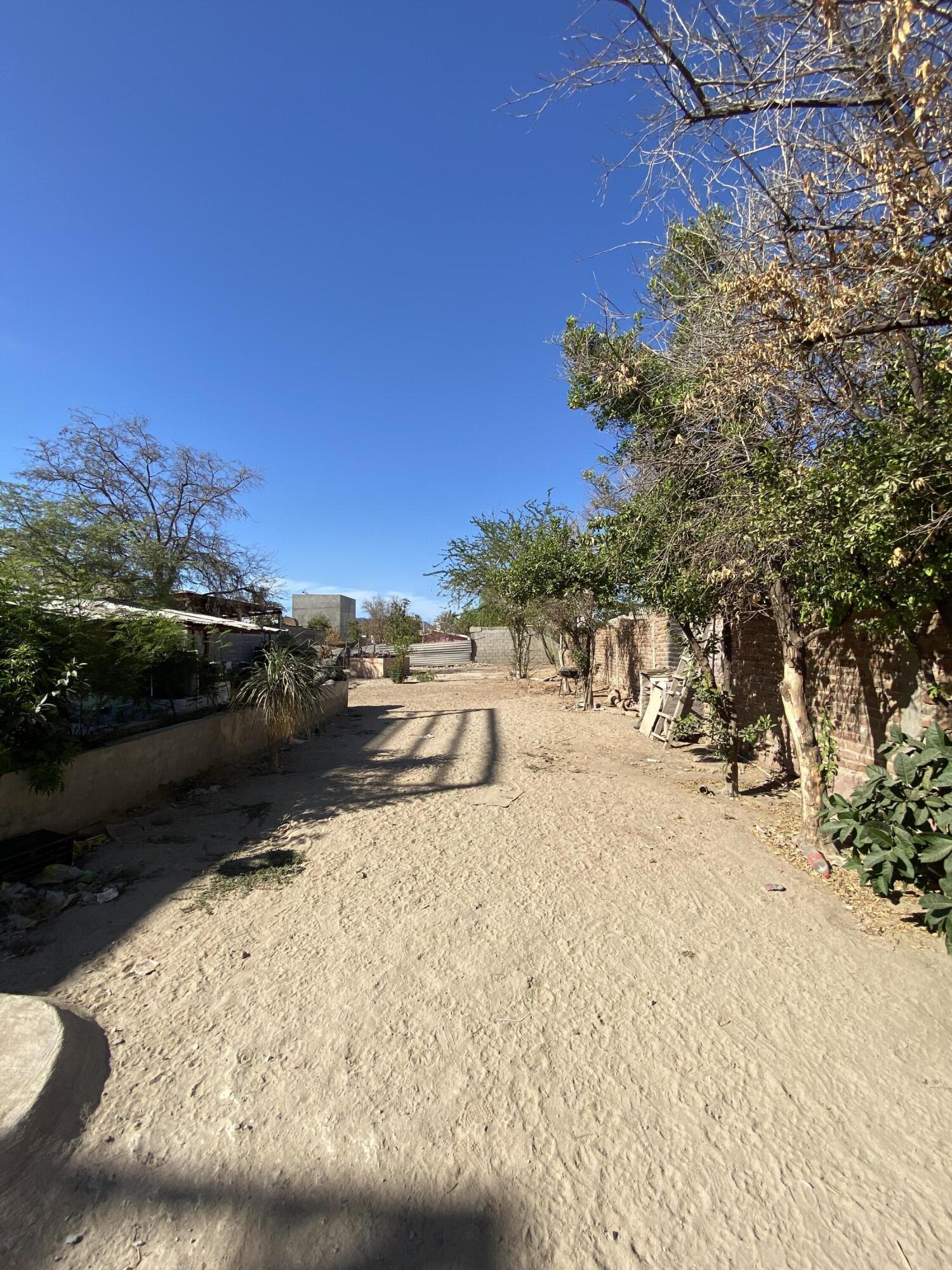 MLS #25-3010 image #8