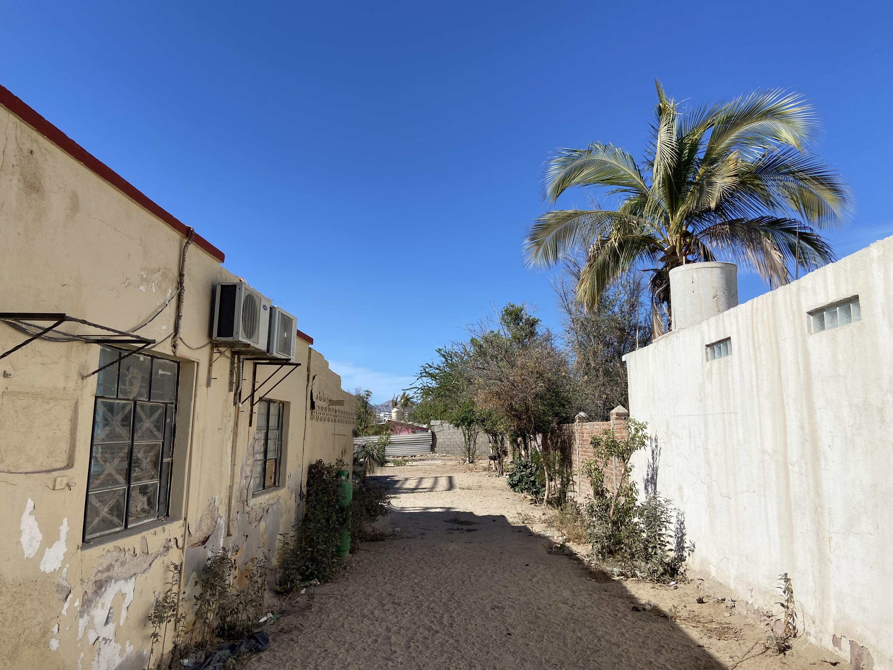 MLS #25-3010 image #9