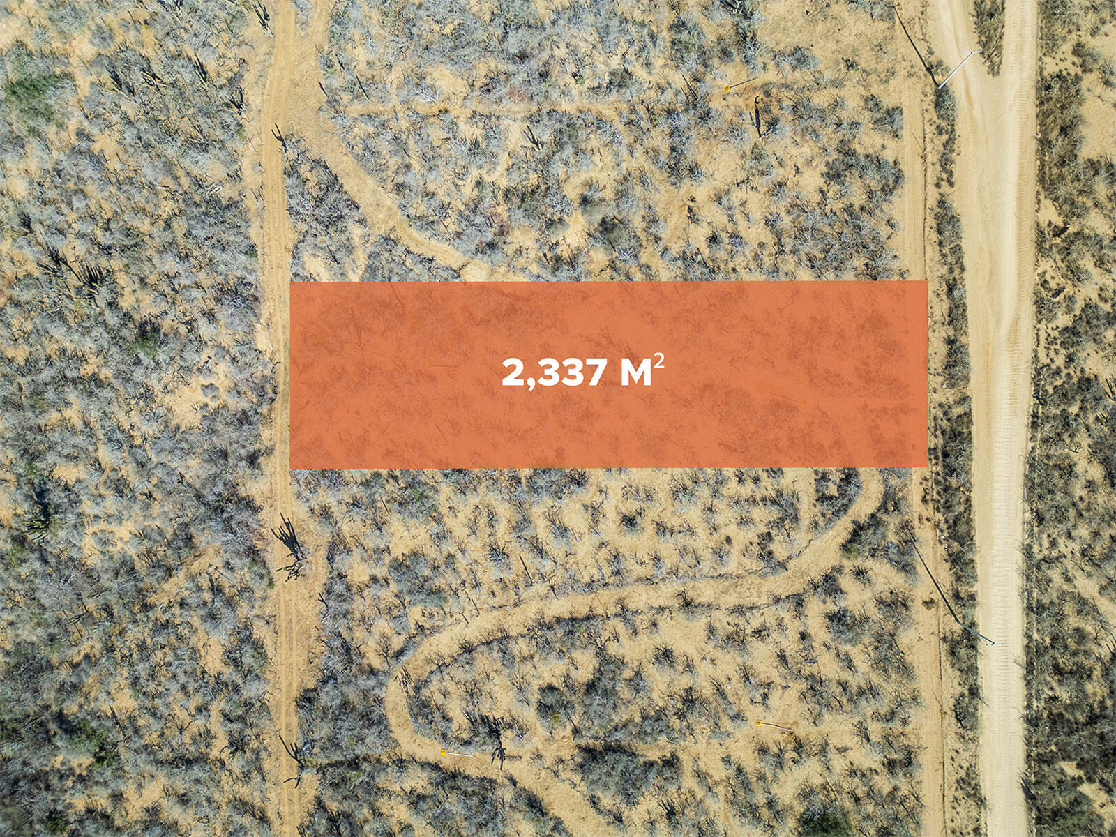 MLS #25-302 image #16