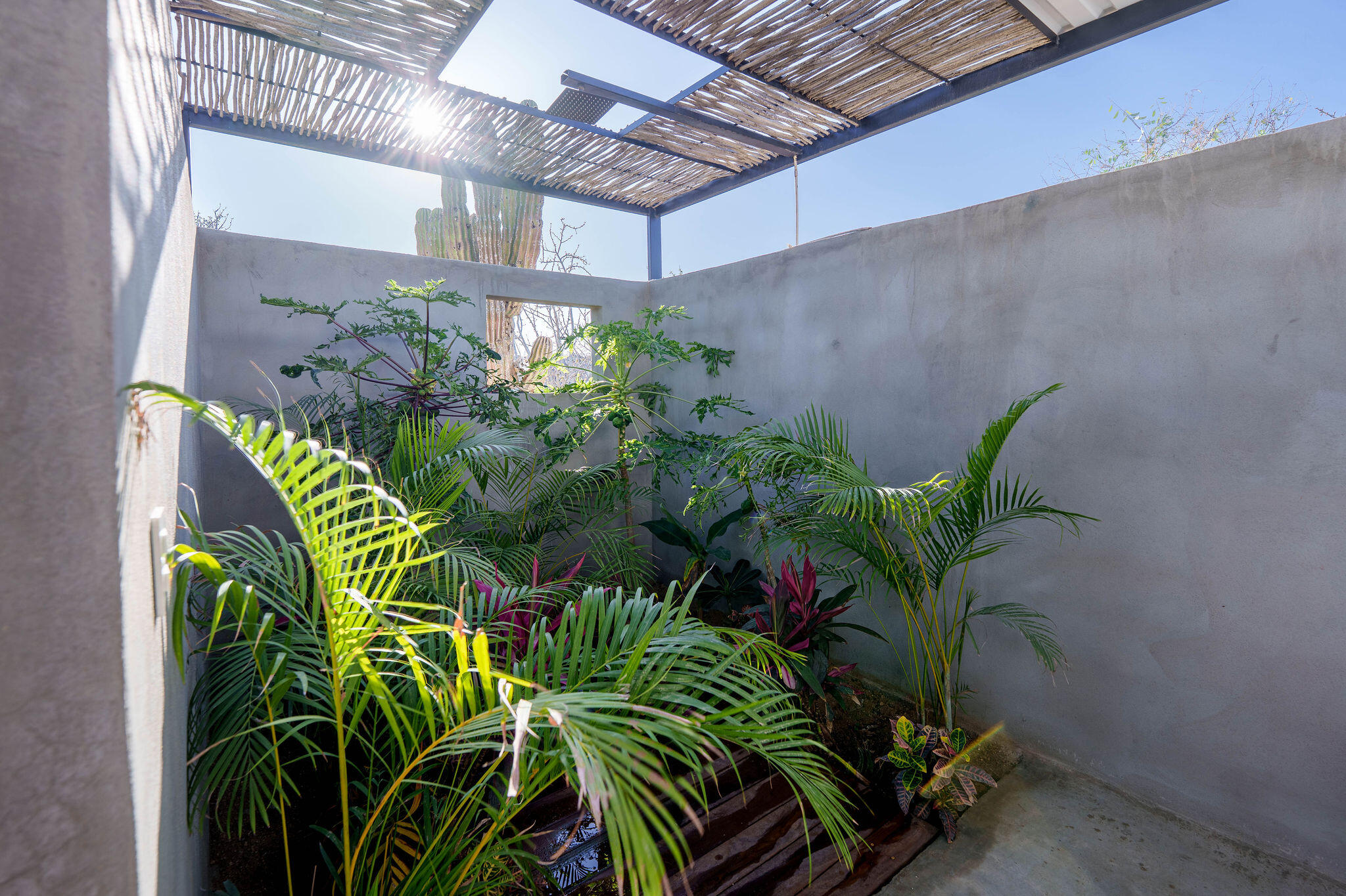 MLS #25-3032 image #11