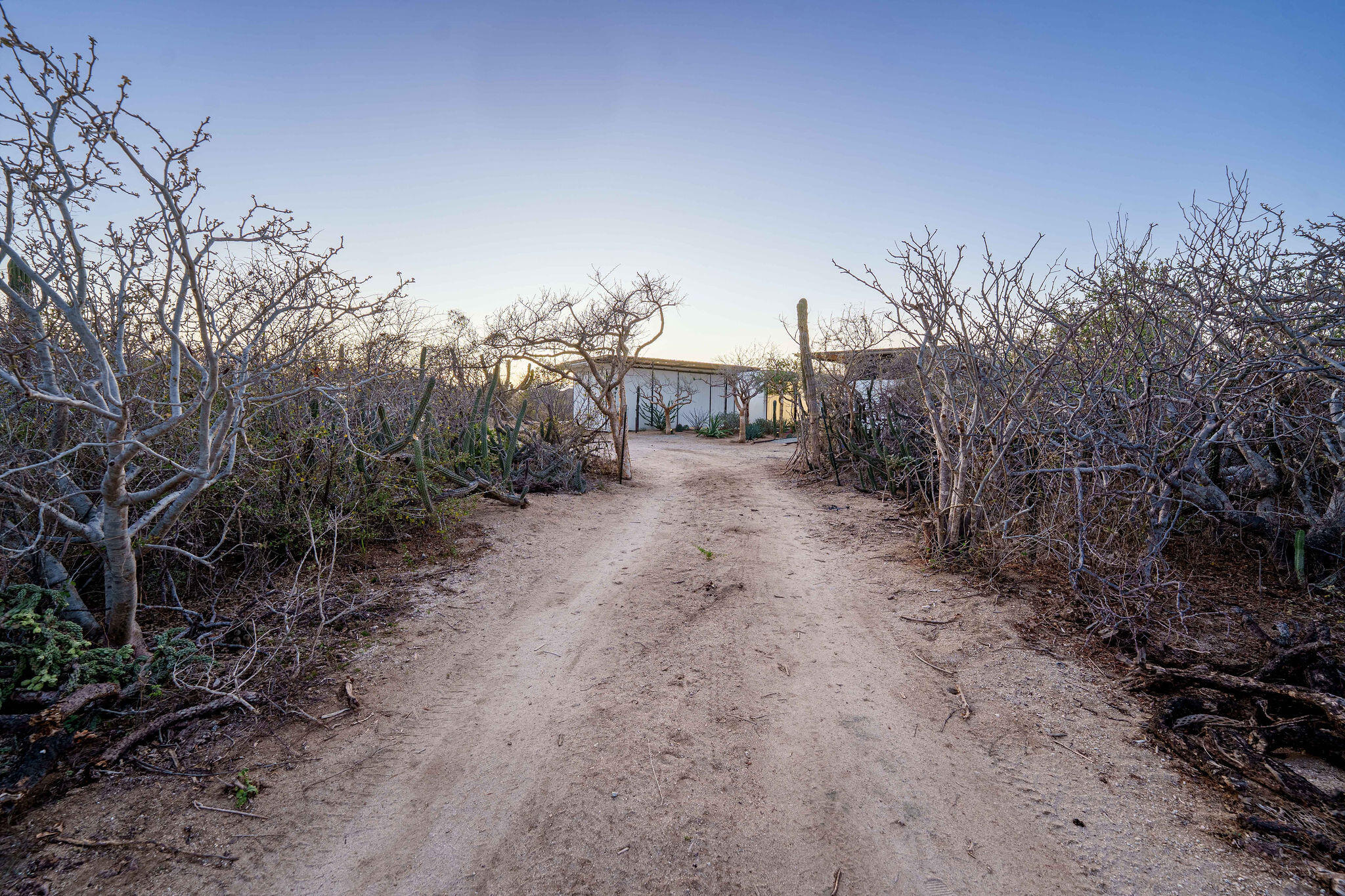 MLS #25-3032 image #2