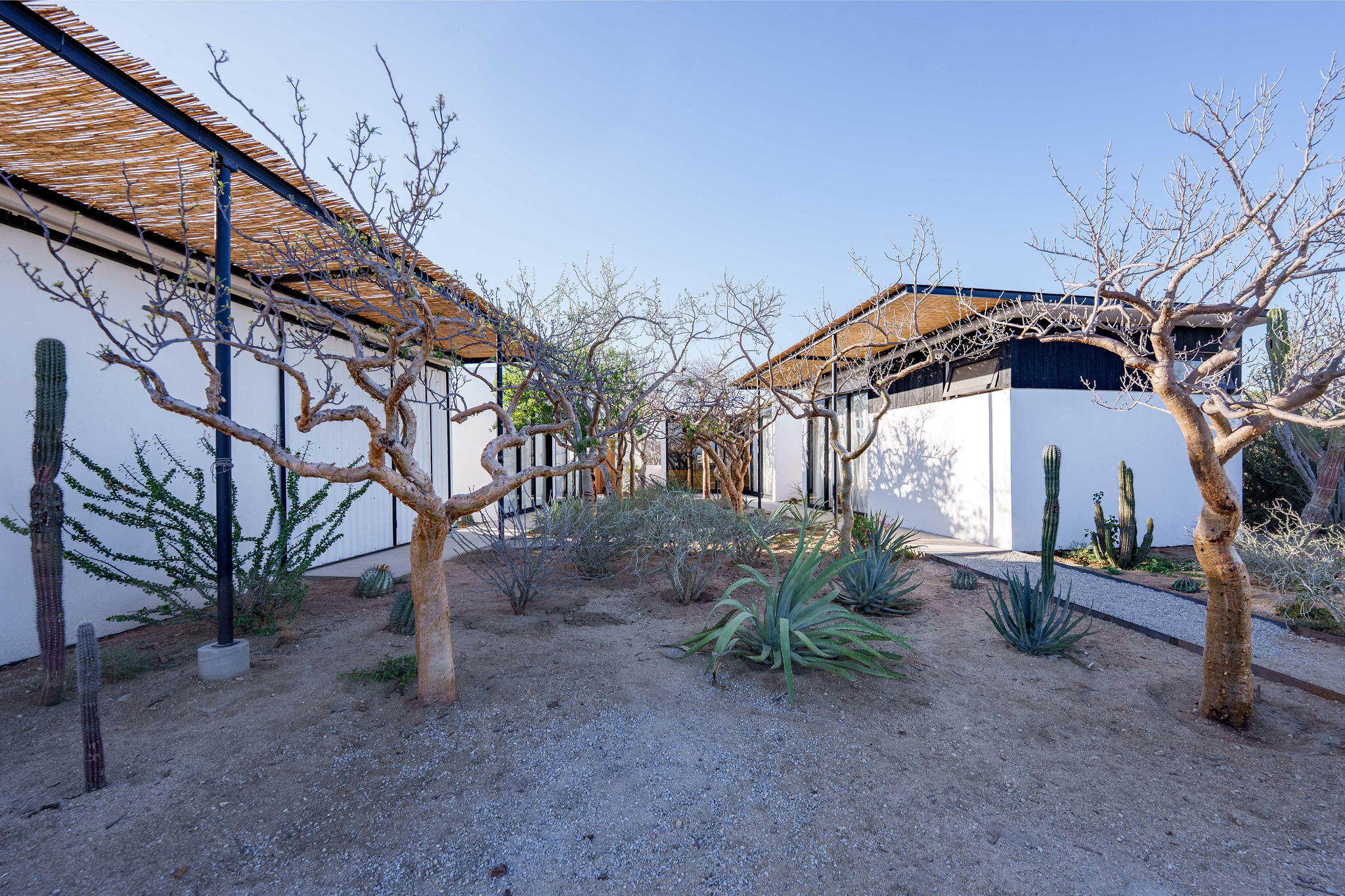 MLS #25-3032 image #3