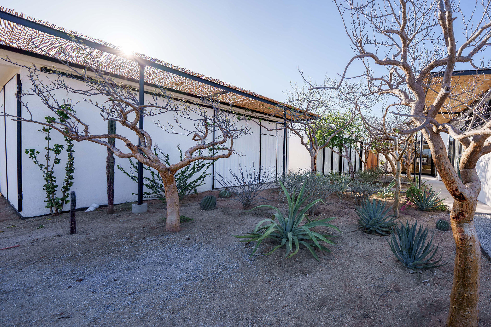 MLS #25-3032 image #4