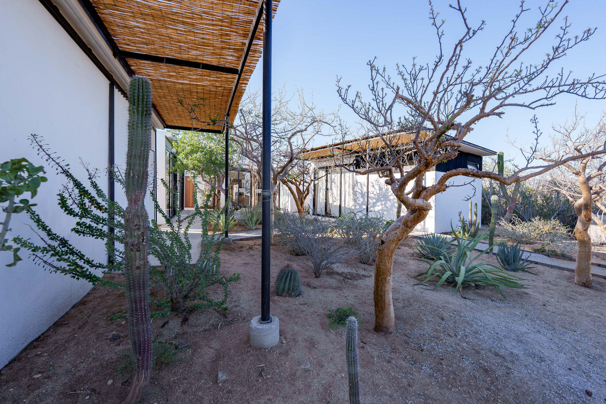 MLS #25-3032 image #5