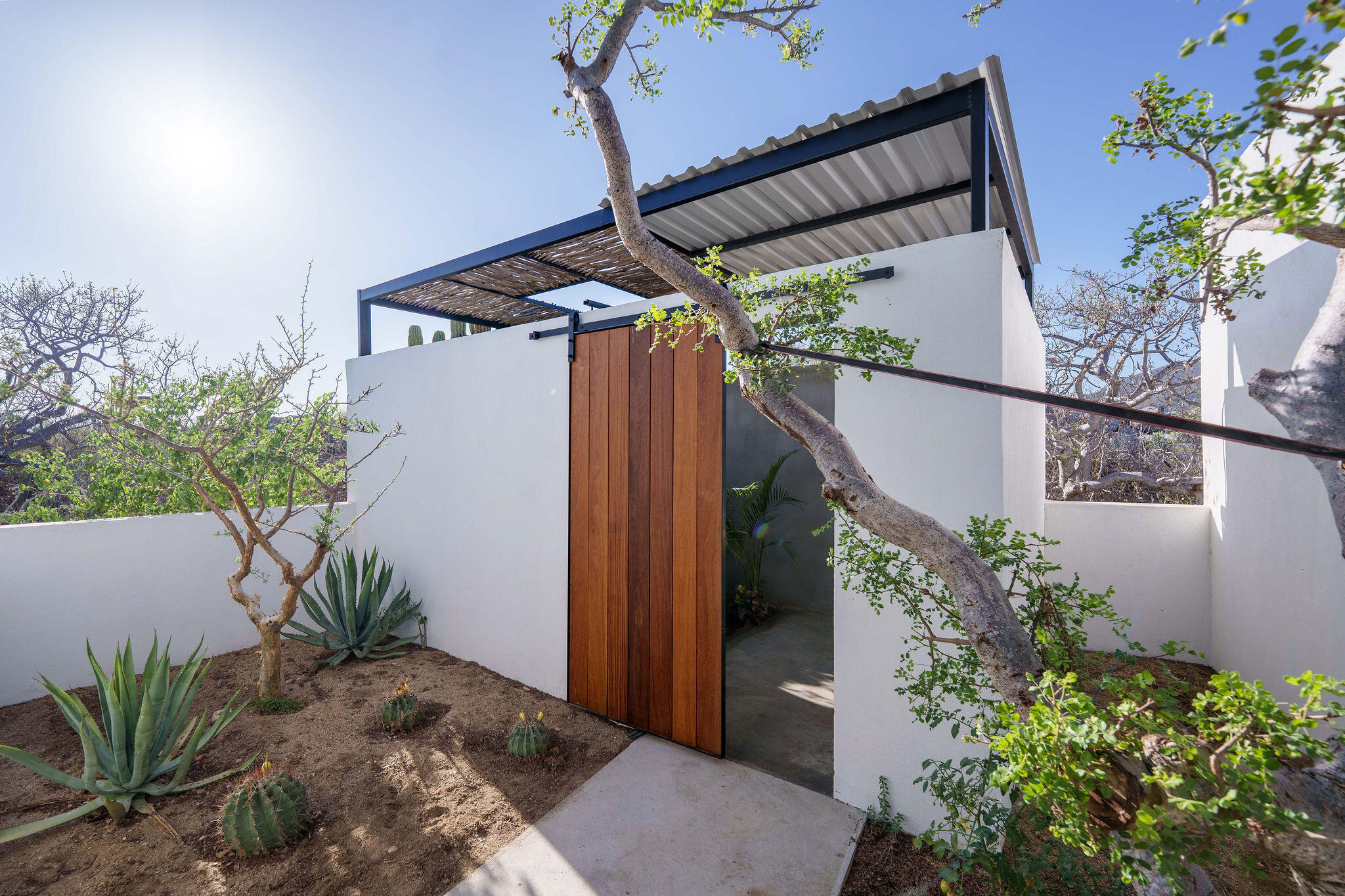 MLS #25-3032 image #9