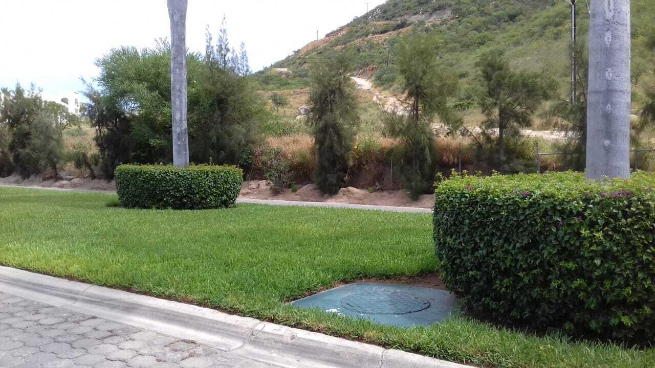 MLS #25-3037 image #12