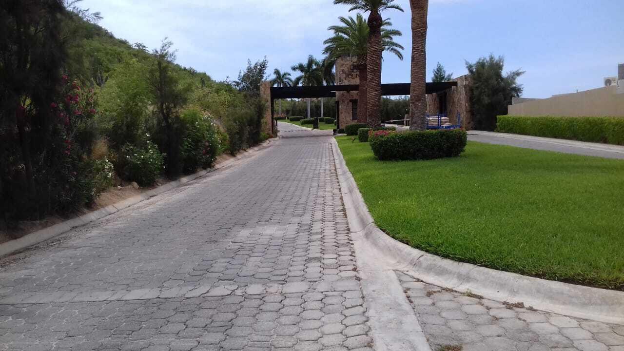 MLS #25-3037 image #13