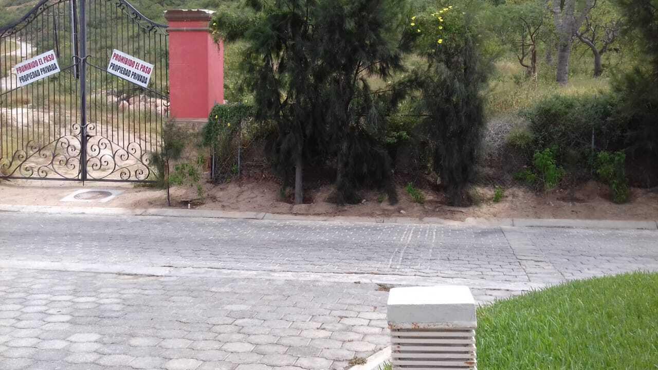 MLS #25-3037 image #3