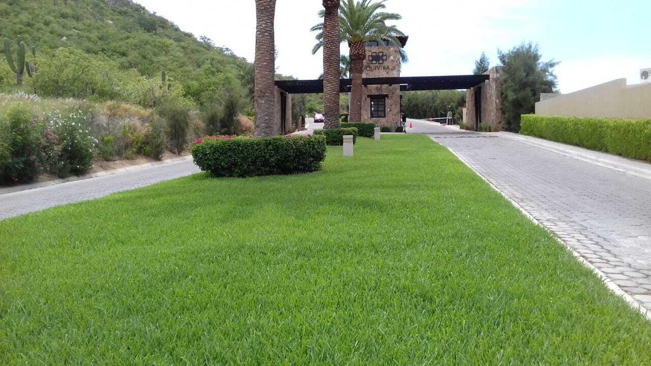 MLS #25-3037 image #4