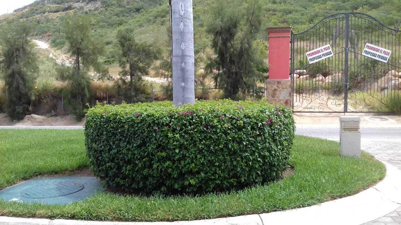 MLS #25-3037 image #5