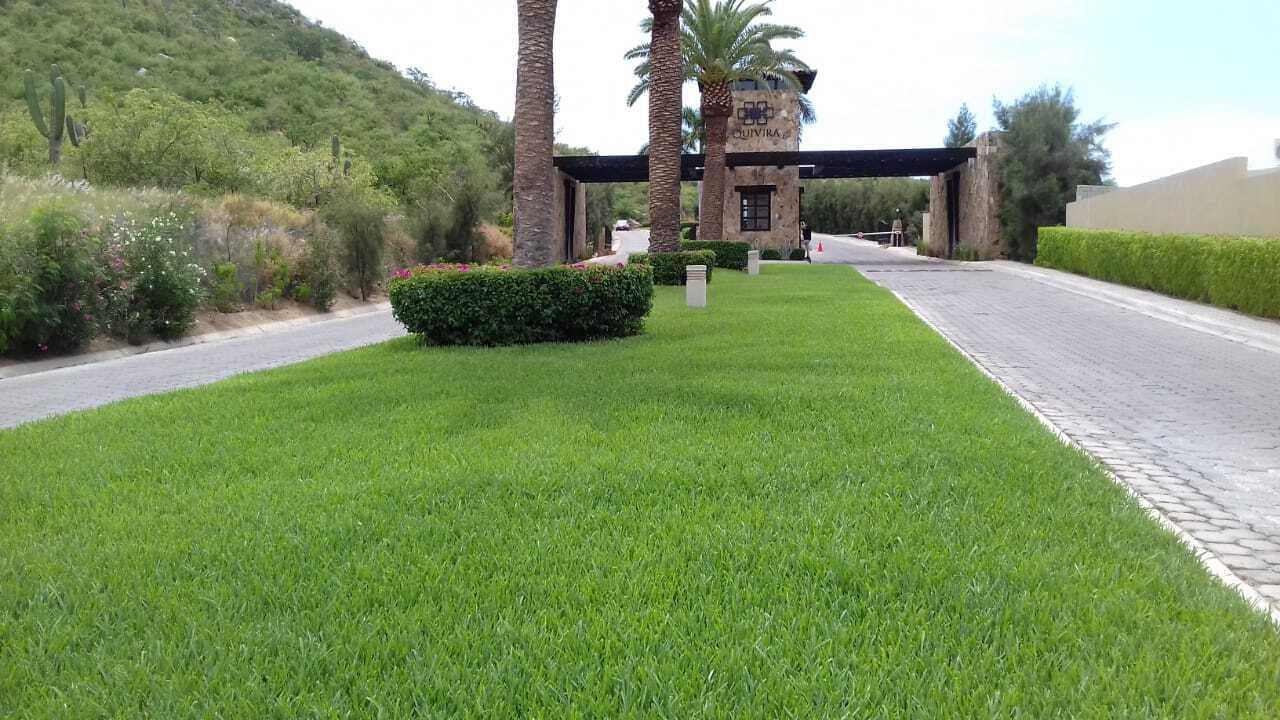 MLS #25-3037 image #6