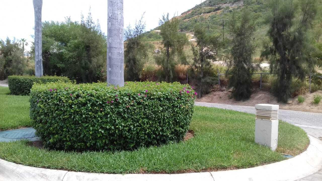 MLS #25-3037 image #7