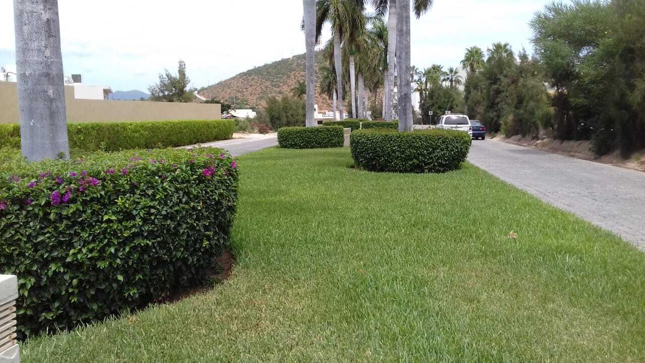 MLS #25-3037 image #8