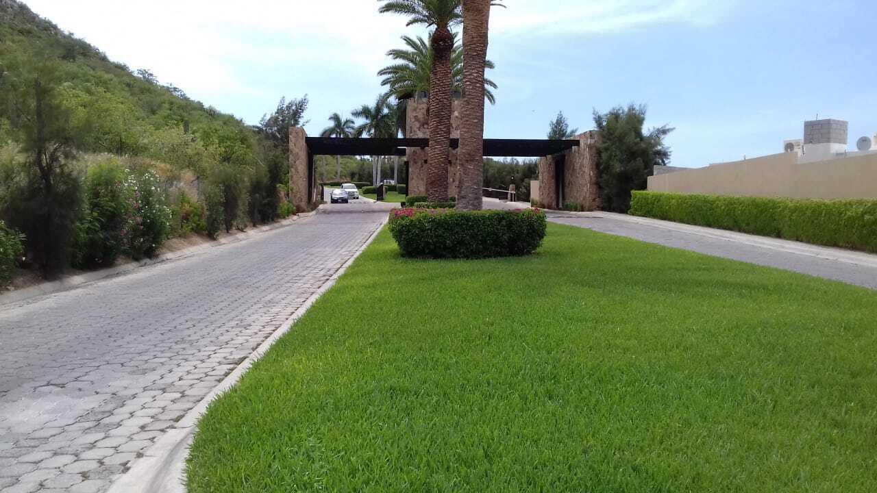 MLS #25-3037 image #9