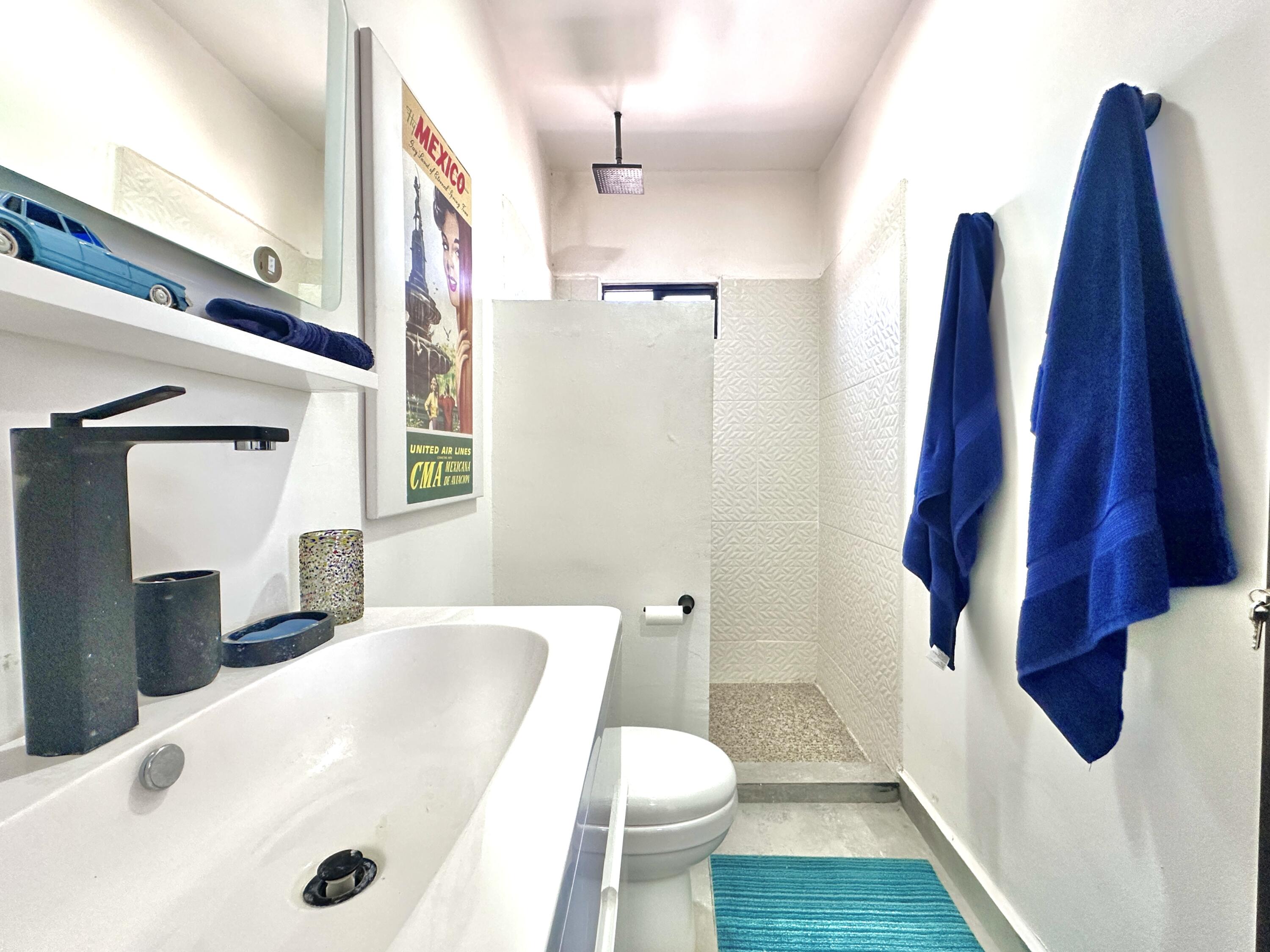 MLS #25-3043 image #43