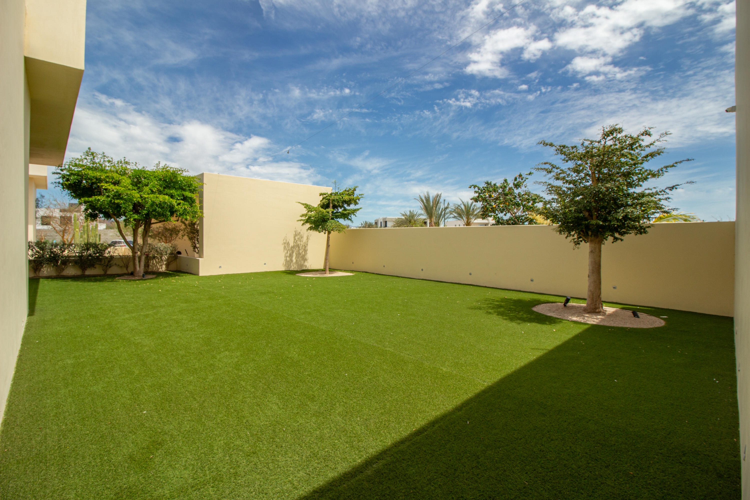 MLS #25-3080 image #13