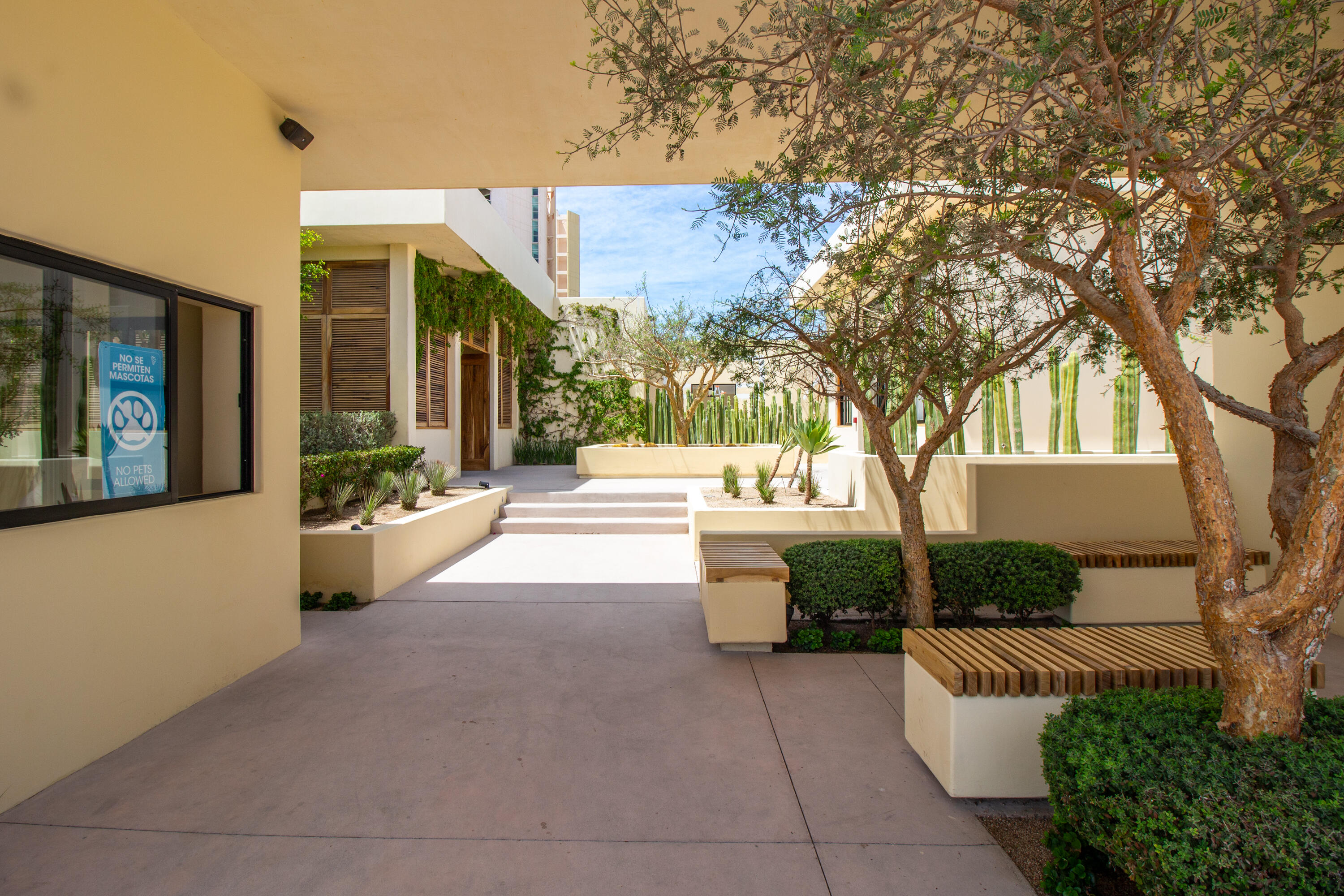 MLS #25-3080 image #9